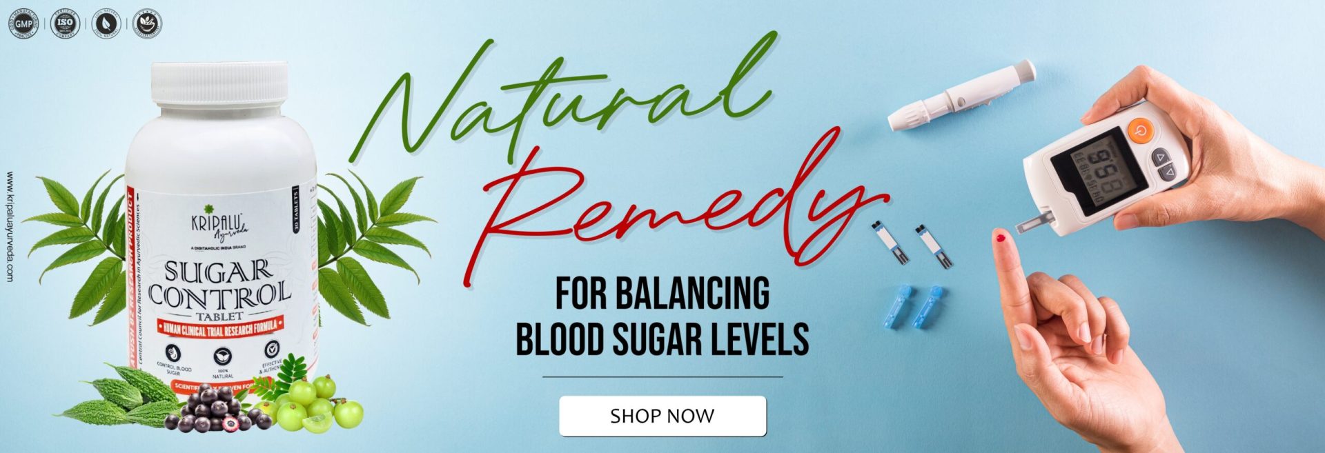 2. Kripalu_Website Banner